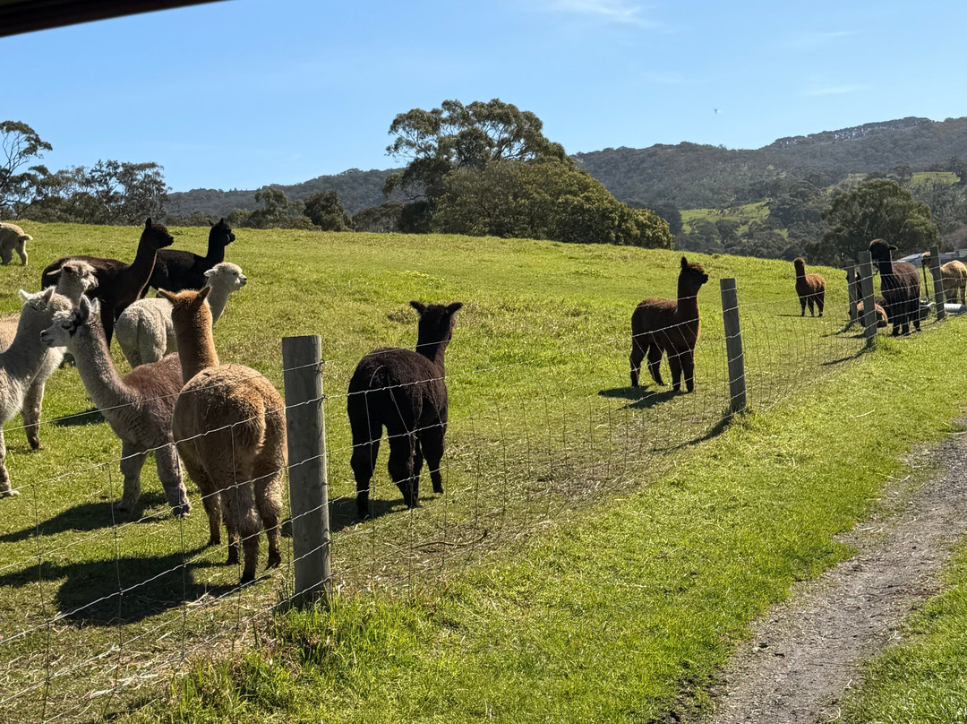 Softfoot Farm & Wildlife Park-Hindmarsh Valley必去景点