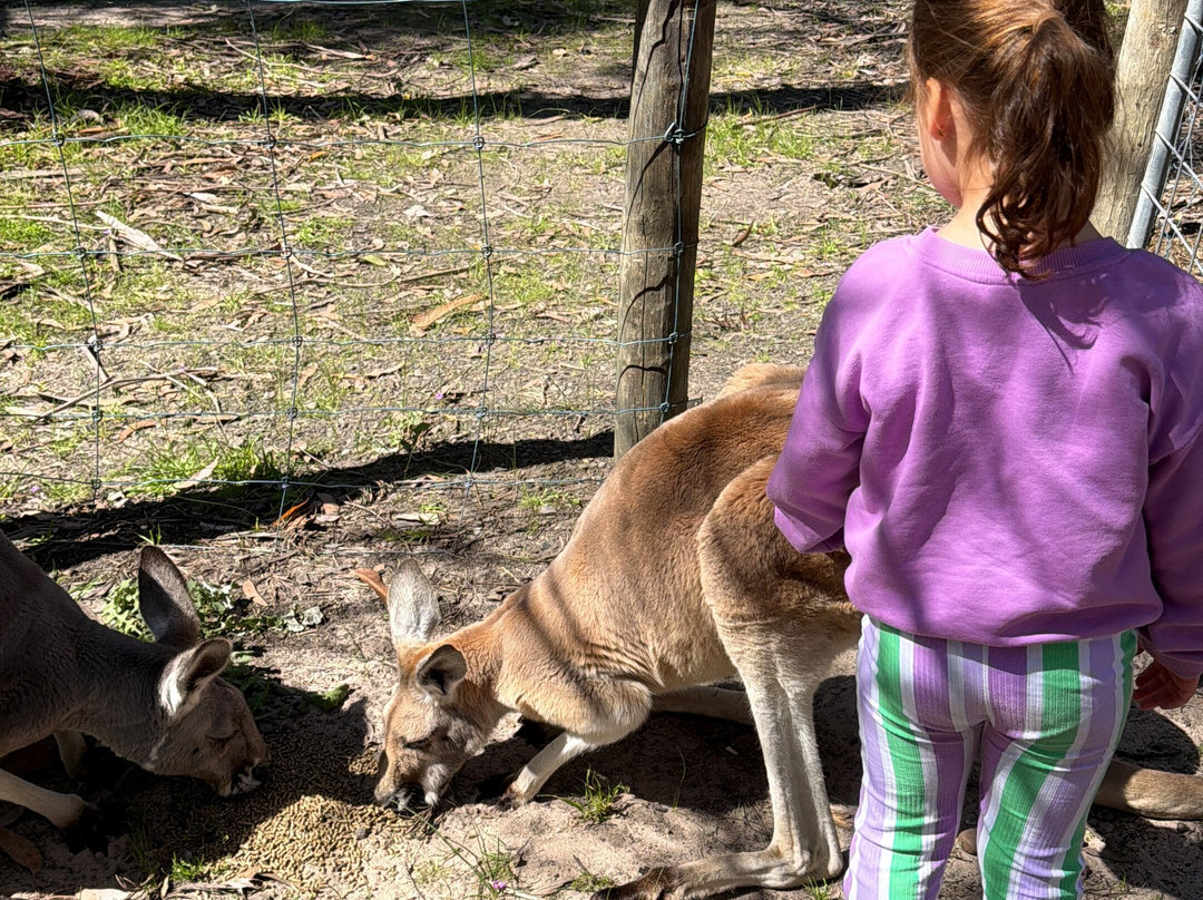 Softfoot Farm & Wildlife Park-Hindmarsh Valley必去景点