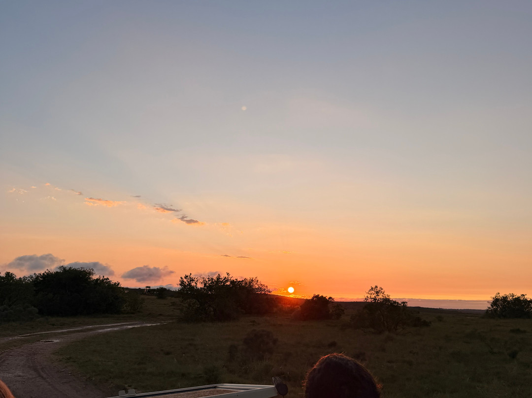 Lalibela Wildlife Reserve Mark's Camp Family Lodge主图