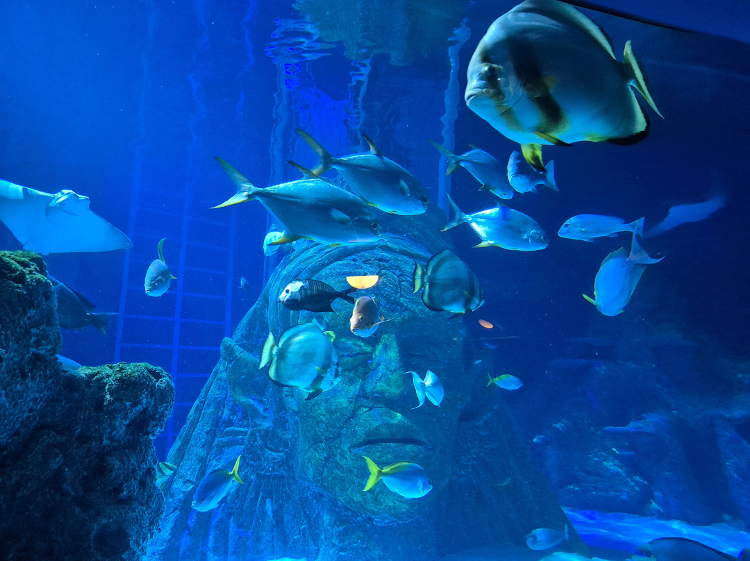 Sea Life Manchester-Trafford Park必去景点