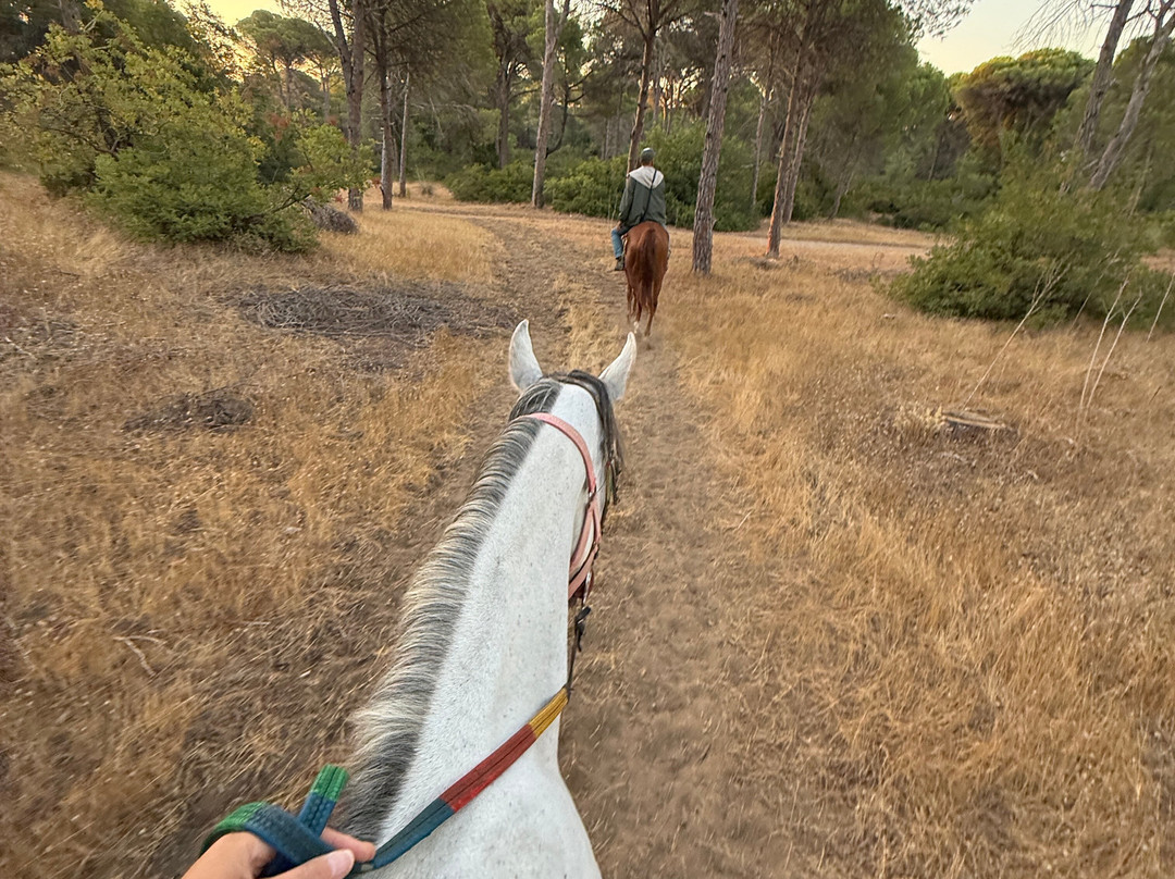 Belek Safari | Horse Riding Tour-Kumkoy必去景点