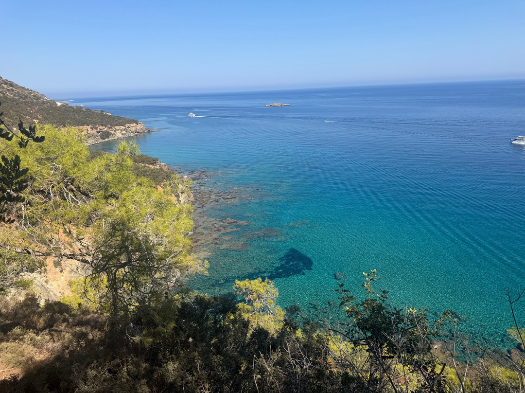 Aphrodite Trail-Latchi必去景点