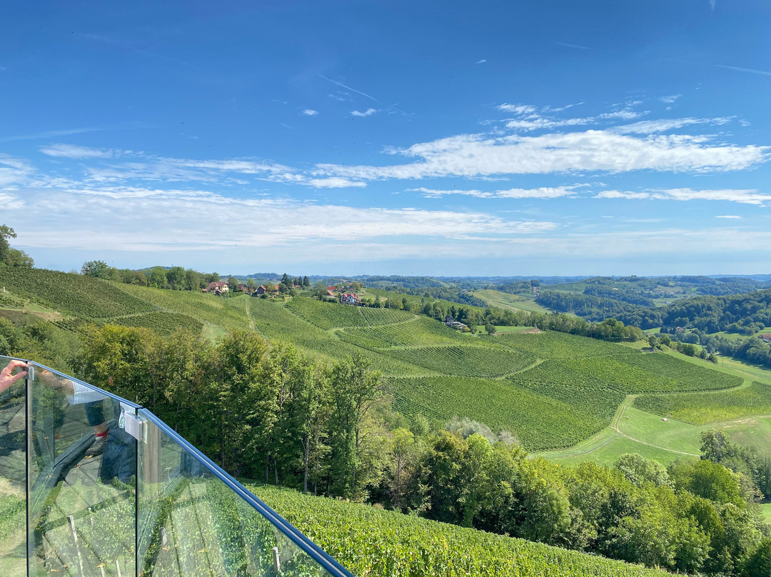 Šerbinek Winery & the Heart-Shaped Wine Road