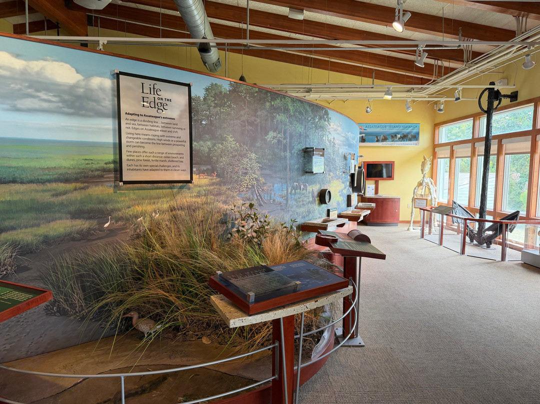 Assateague Island National Seashore-Assateague Island必去景点