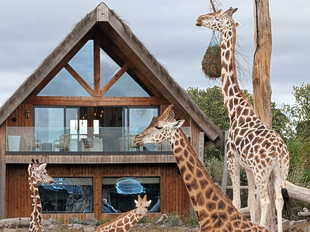 West Midlands Safari Park-Bewdley必去景点