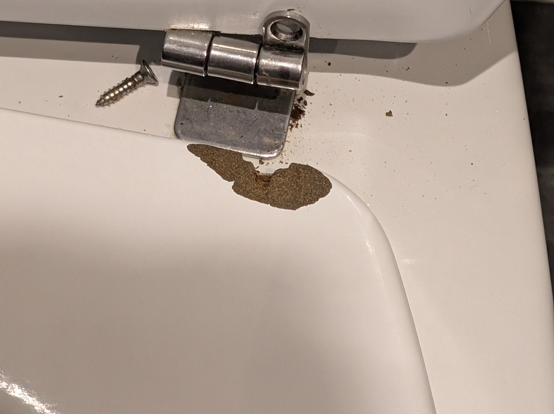 老白狮宾馆主图