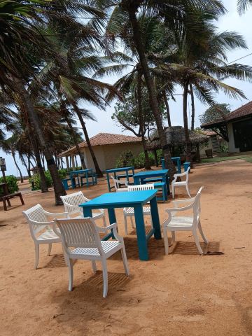海豚俱乐部酒店-泳池