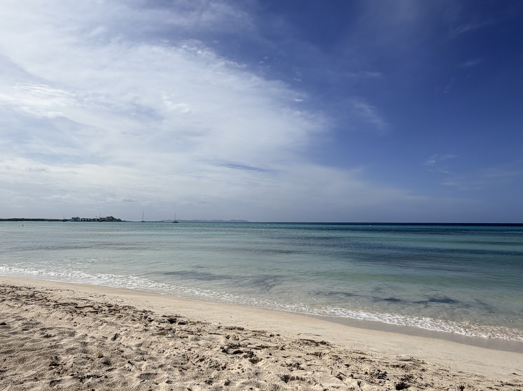 Platja d'es Trenc-Campos必去景点