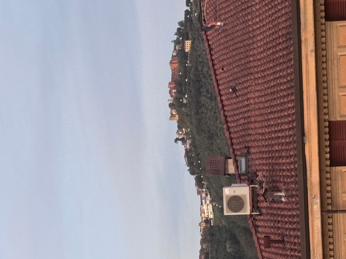 洛坎达马乔雷广场大酒店-酒店景观