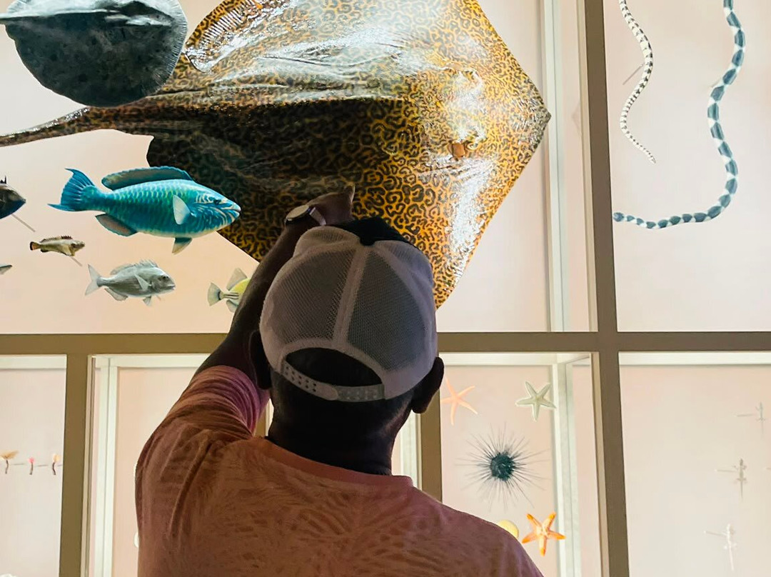 National Museum of Qatar-多哈必去景点