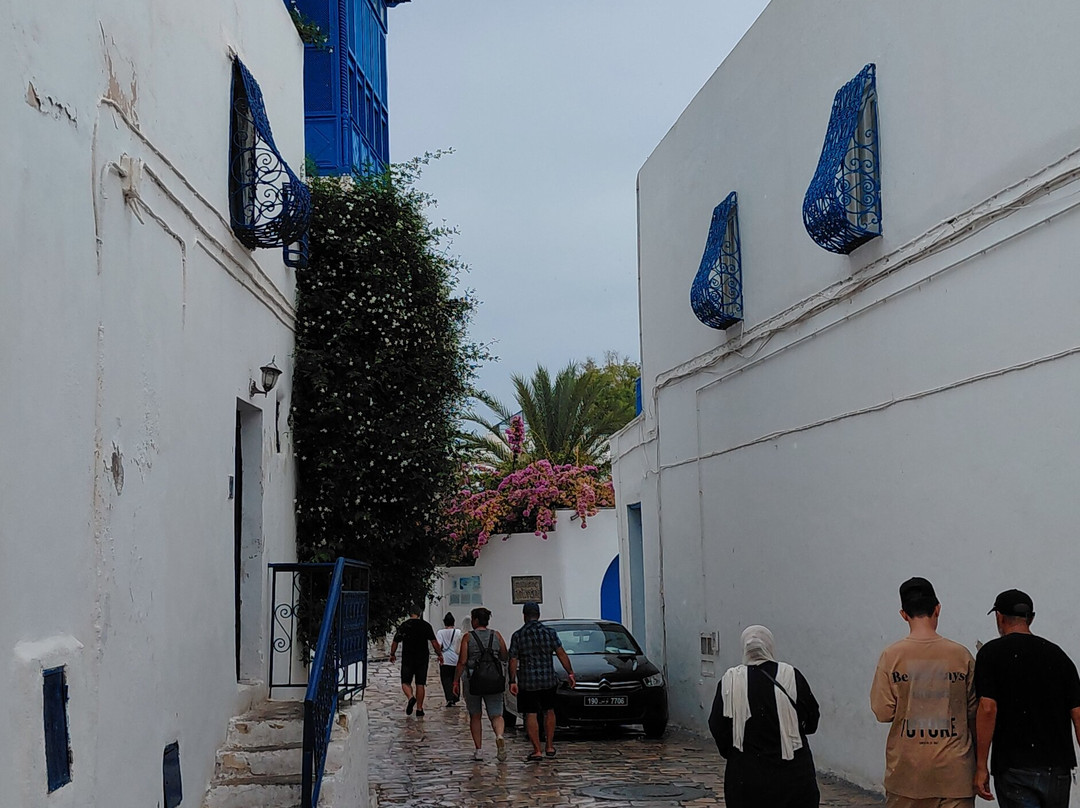 Mosquée De Sidi Bou Said-蓝白小镇必去景点