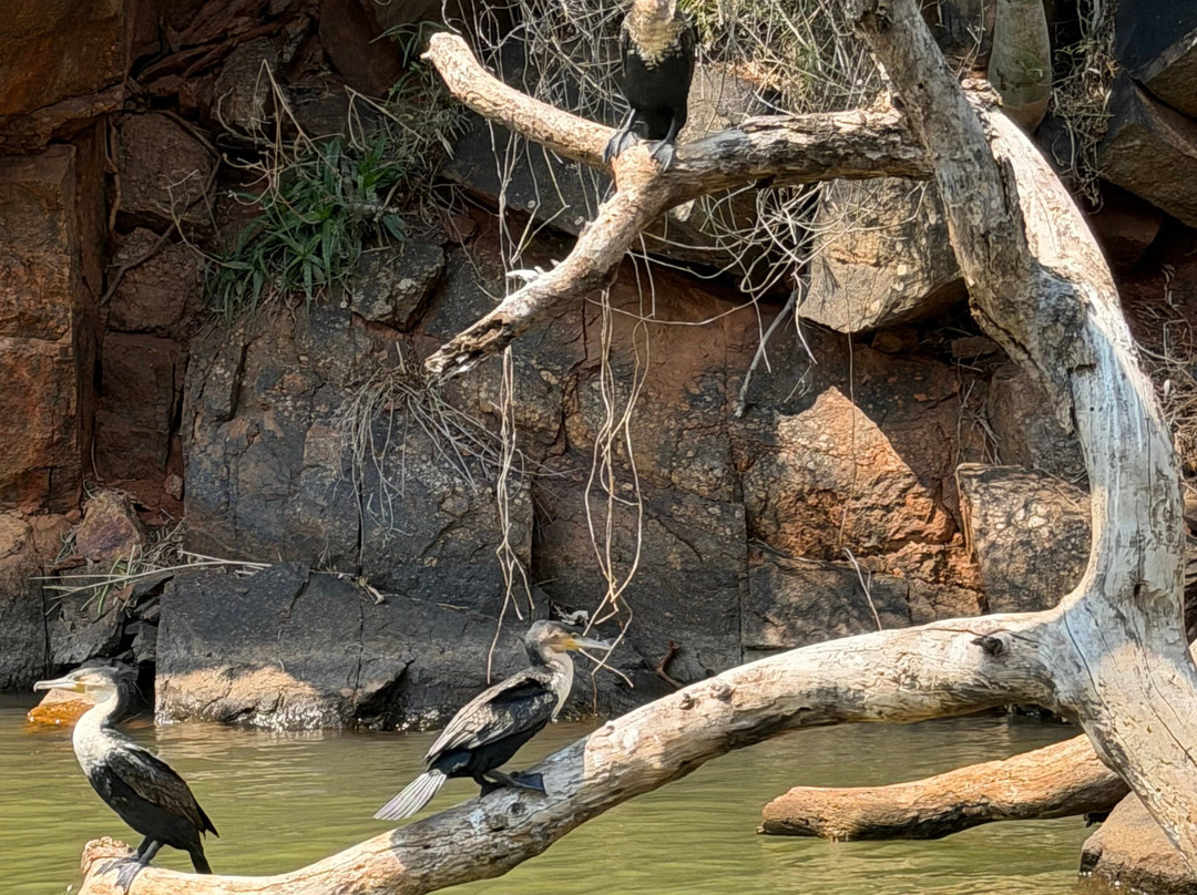 Blyde River Canyon Nature Reserve-普马兰加省必去景点
