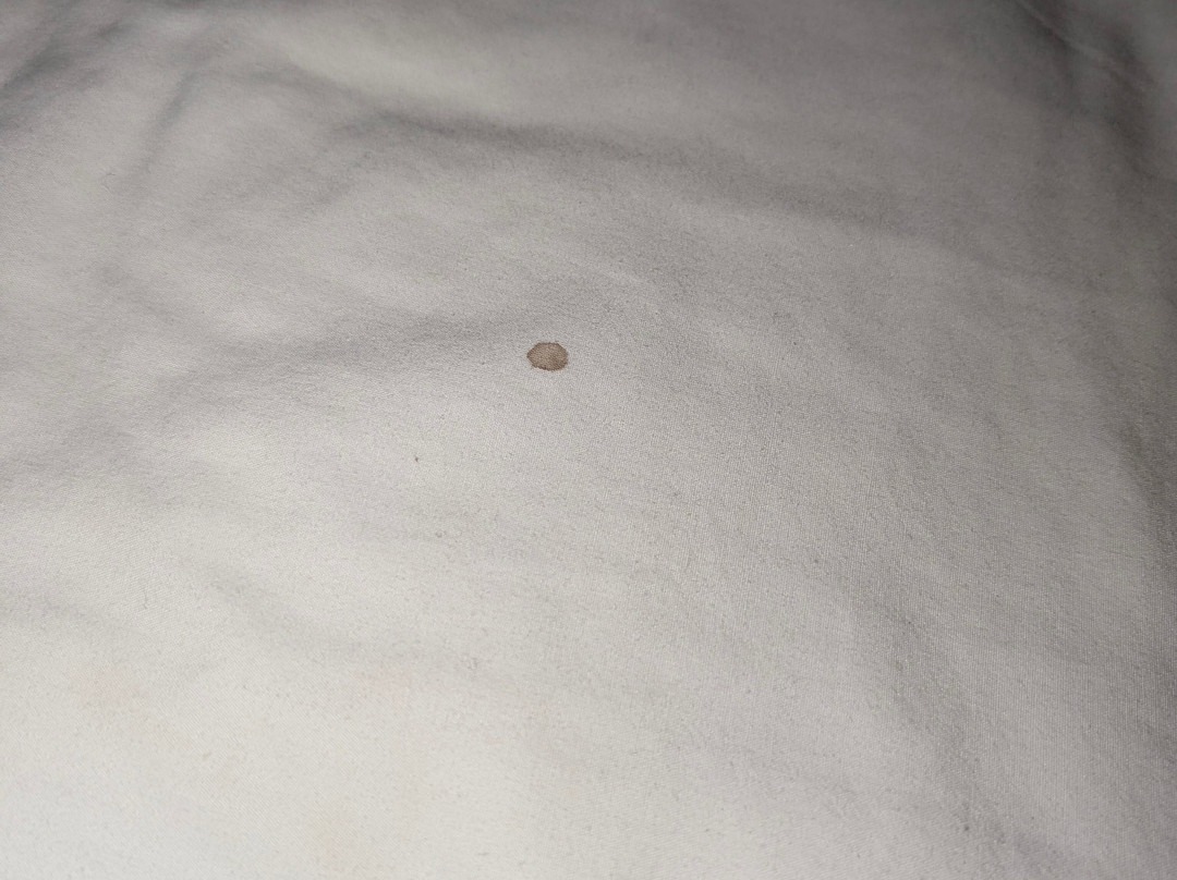伍德斯托克旅馆和套房主图