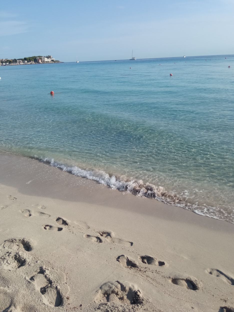 金海螺酒店-旅行者