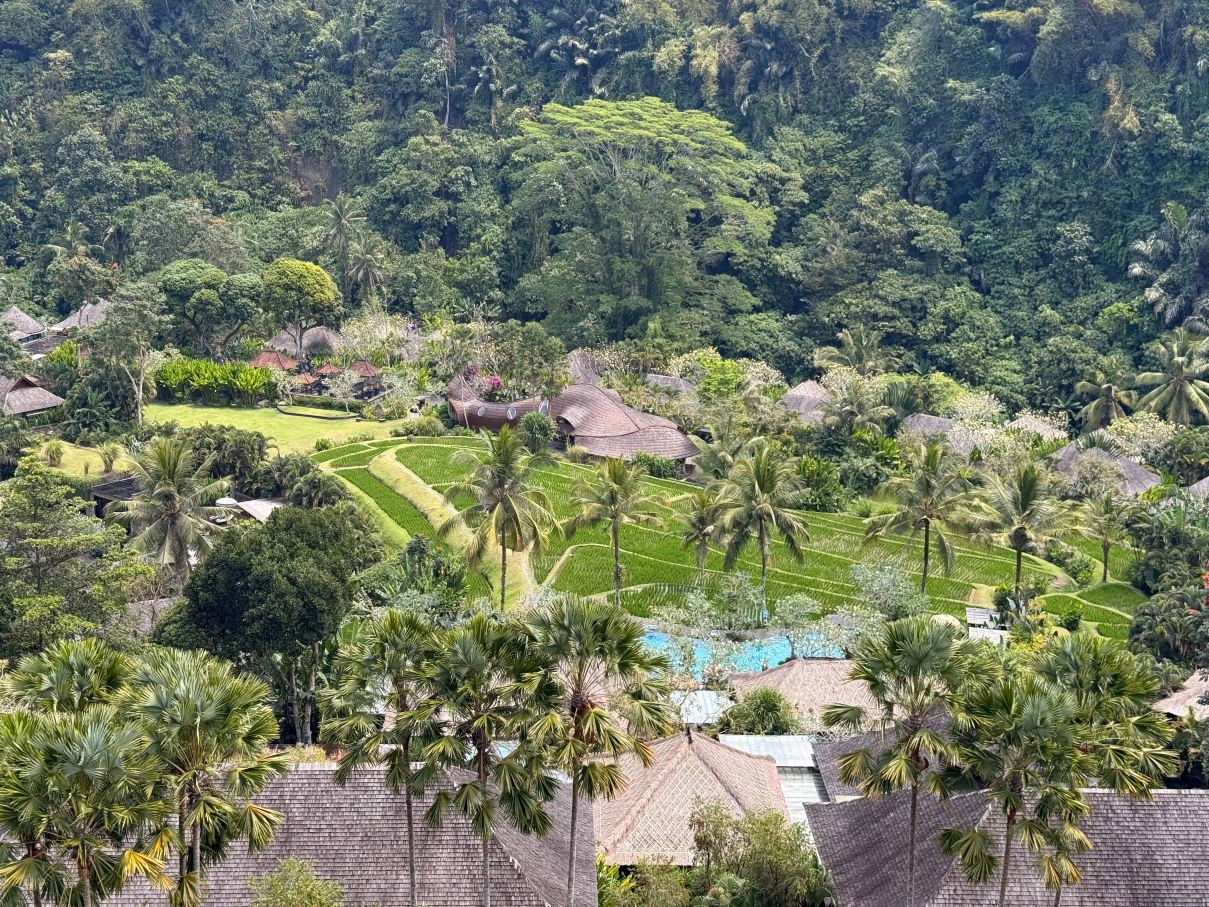 曼答帕丽思卡尔顿隐世酒店-旅行者