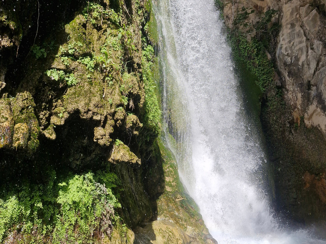 l'Algar Waterfalls-Callosa d'En Sarria必去景点