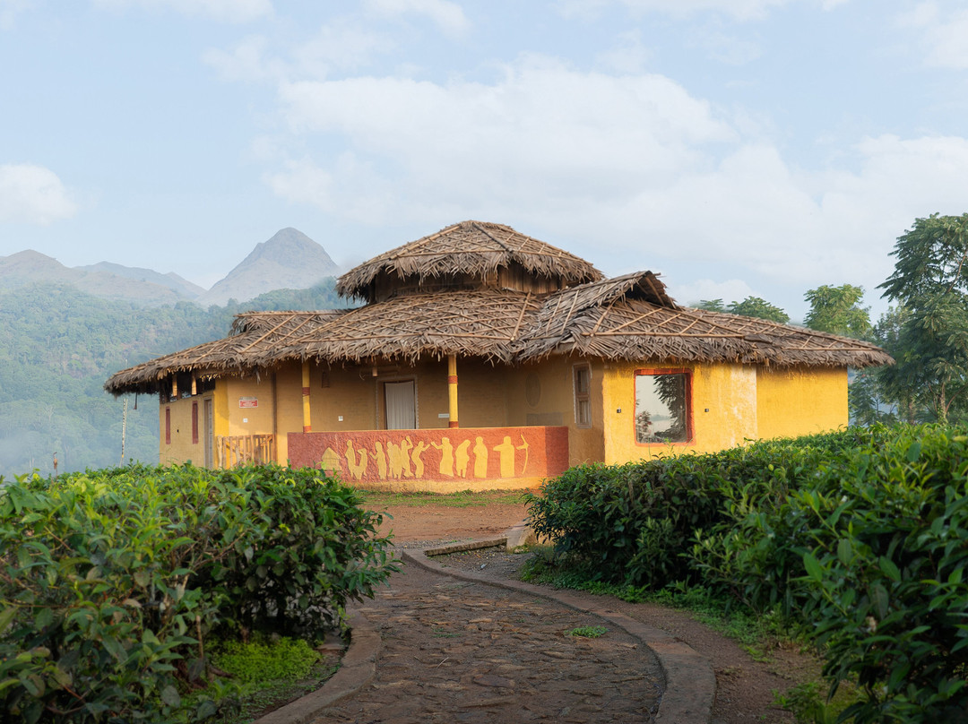 Boche 1000 Acre Wayanad
