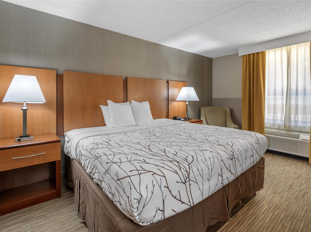 Mechanicsville酒店住宿-Best Western La Plata Inn