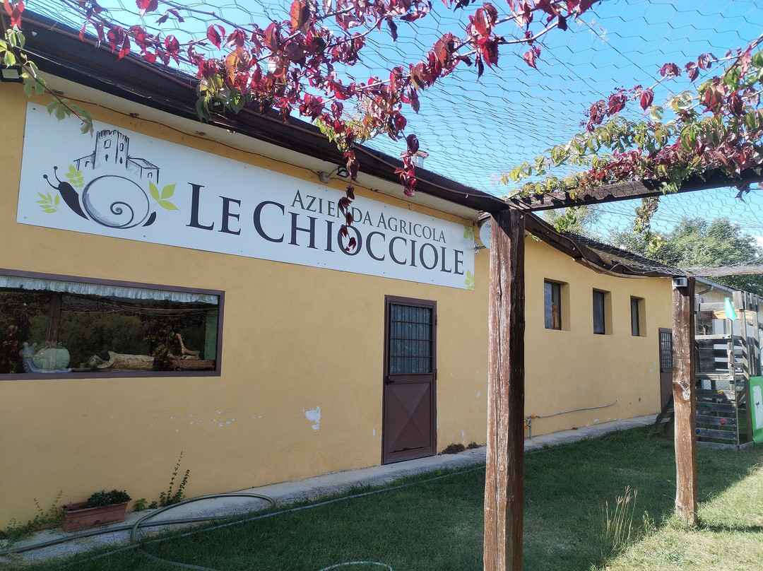 Azienda Agricola Le Chiocciole