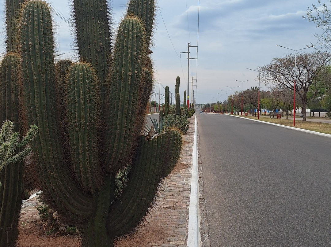 Parque de la Ciudad-拉里奥哈必去景点