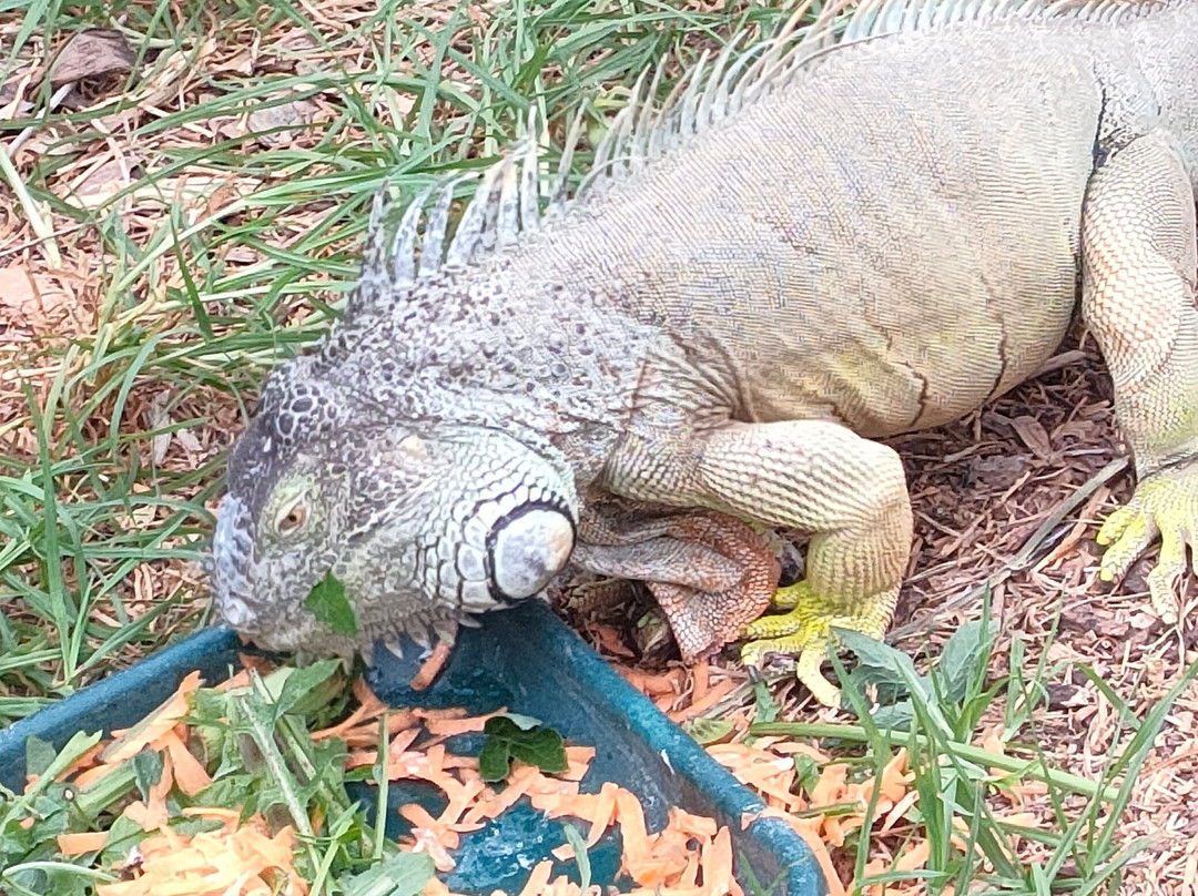 Reptile Park-瓦卡沃夫必去景点
