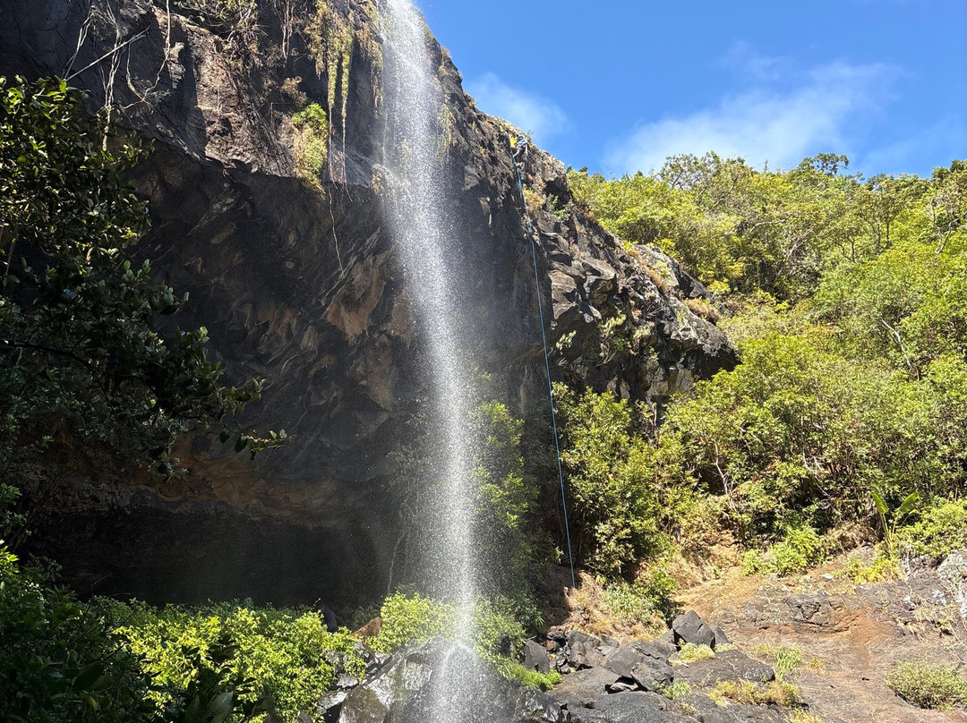 Tamarin Falls-Vacoas-Phoenix必去景点