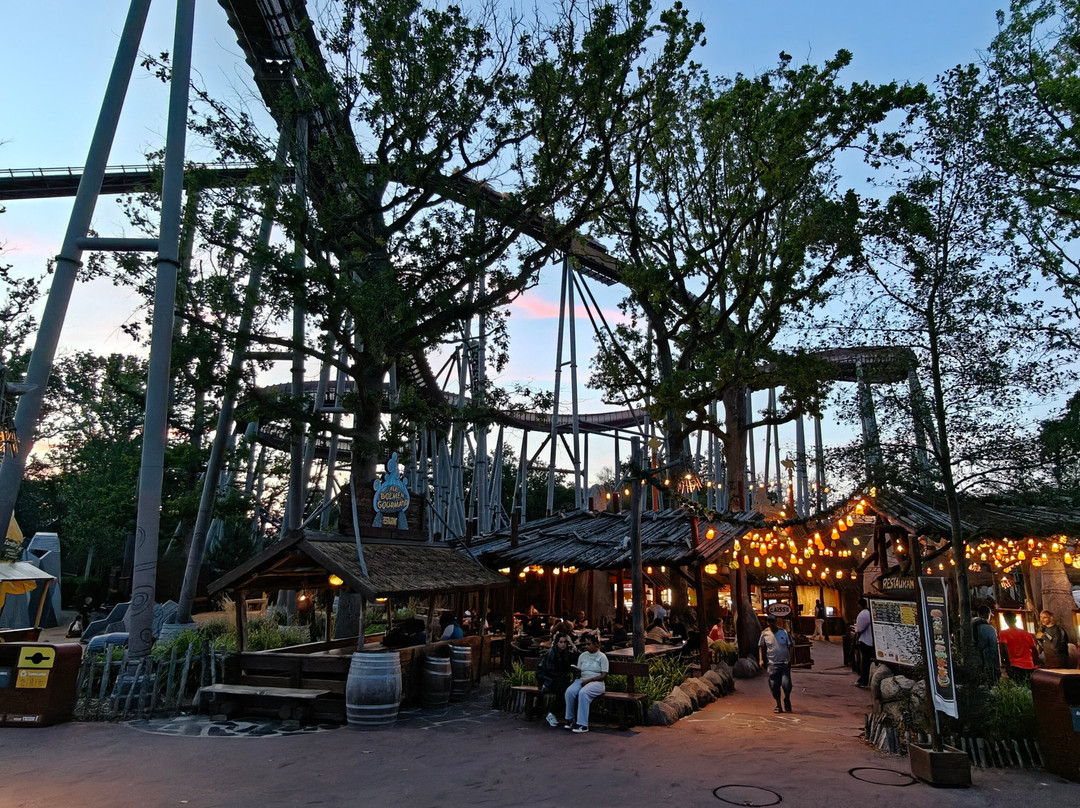 Parc Asterix-普拉伊必去景点
