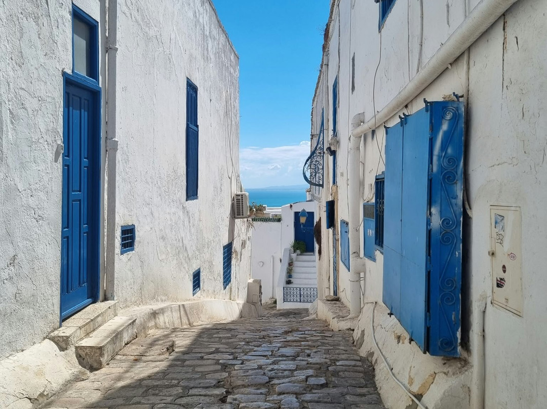 Sidi Bou Said-蓝白小镇必去景点