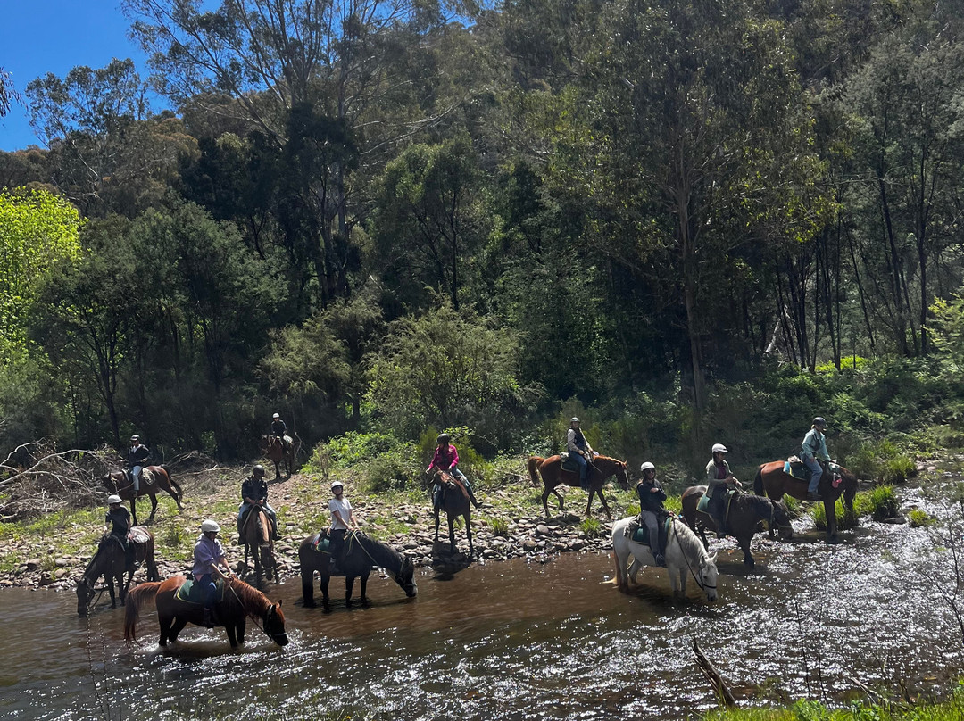 Watson's Mountain Country Trail Rides - Day Tours-曼斯菲尔德必去景点
