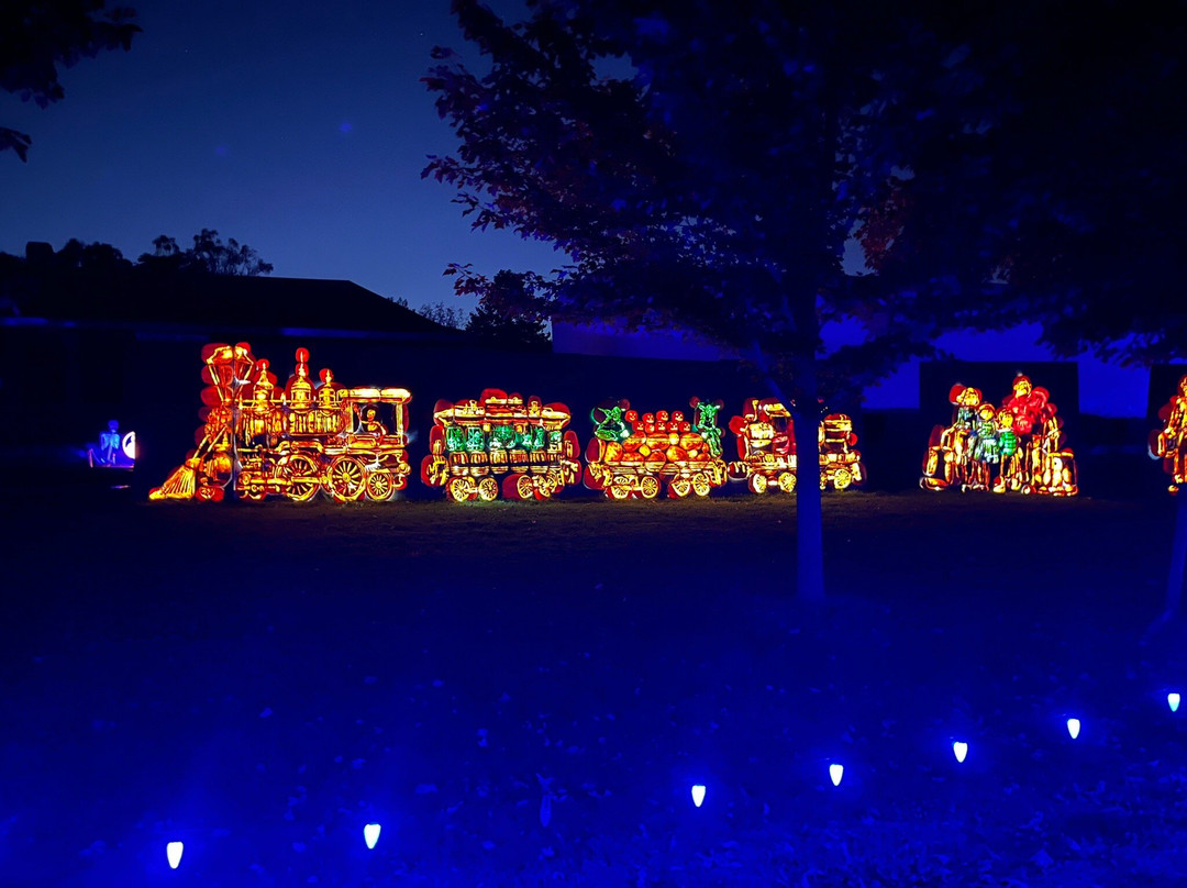 Pumpkins after dark