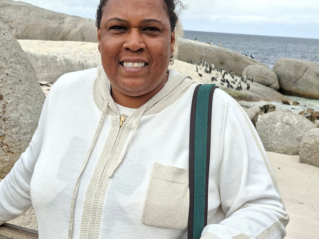 Boulders Beach Penguin Colony-西门镇必去景点