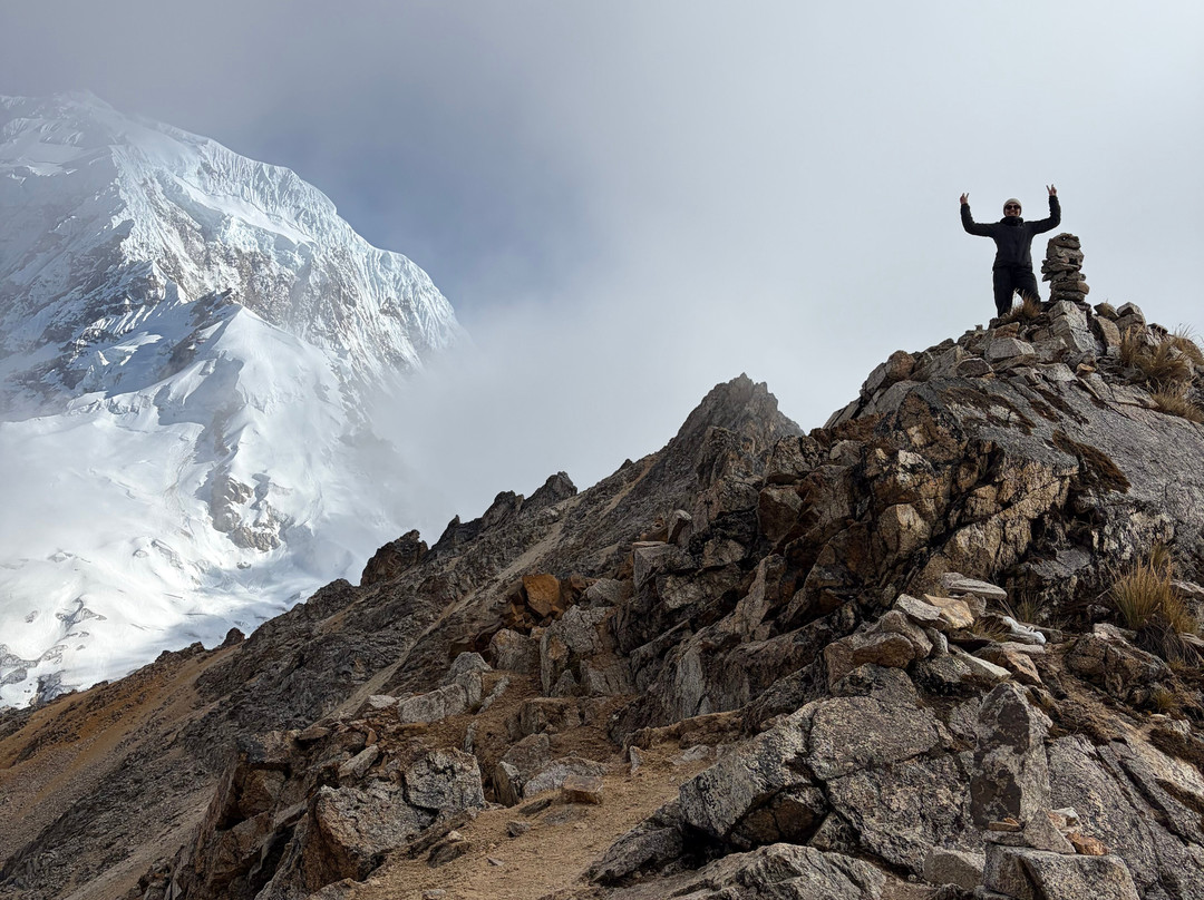 Alpaca Expeditions-库斯科必去景点