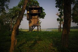 The Chitwan Jungle Guides景点图片