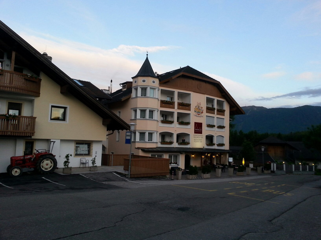 Falzes酒店住宿-Hotel Winkler