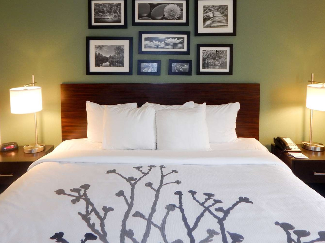 Sleep Inn & Suites Near Liberty Place I-65主图