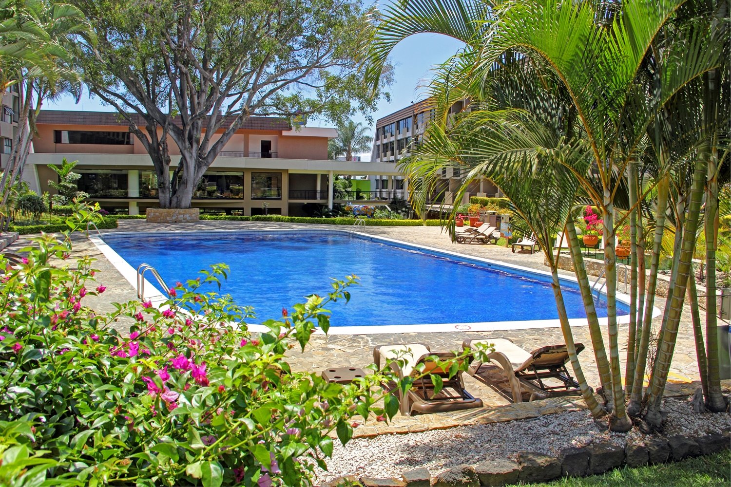 Irazú Hotel & Studios-官方