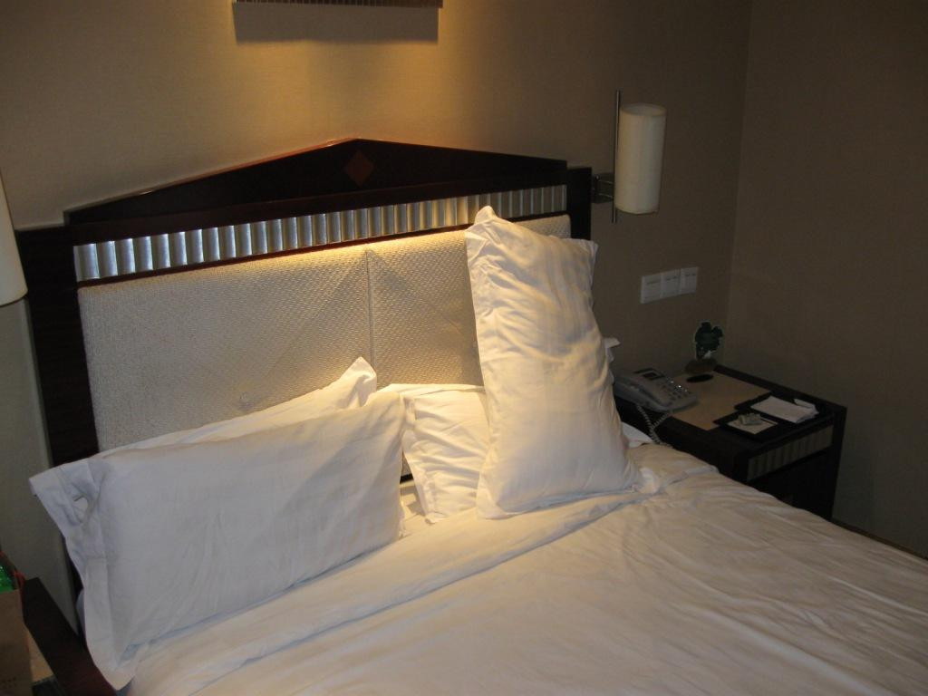 维也纳国际酒店（广州火车站三元里地铁站店）主图