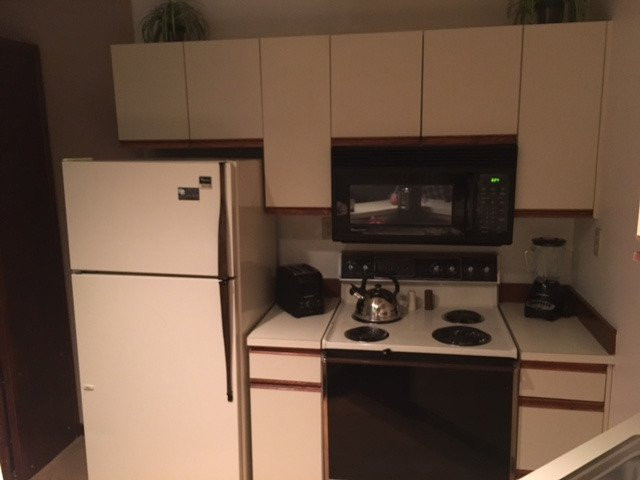 弗里斯科酒店住宿-Telemark