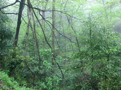 褒忠山-湘乡市必去景点