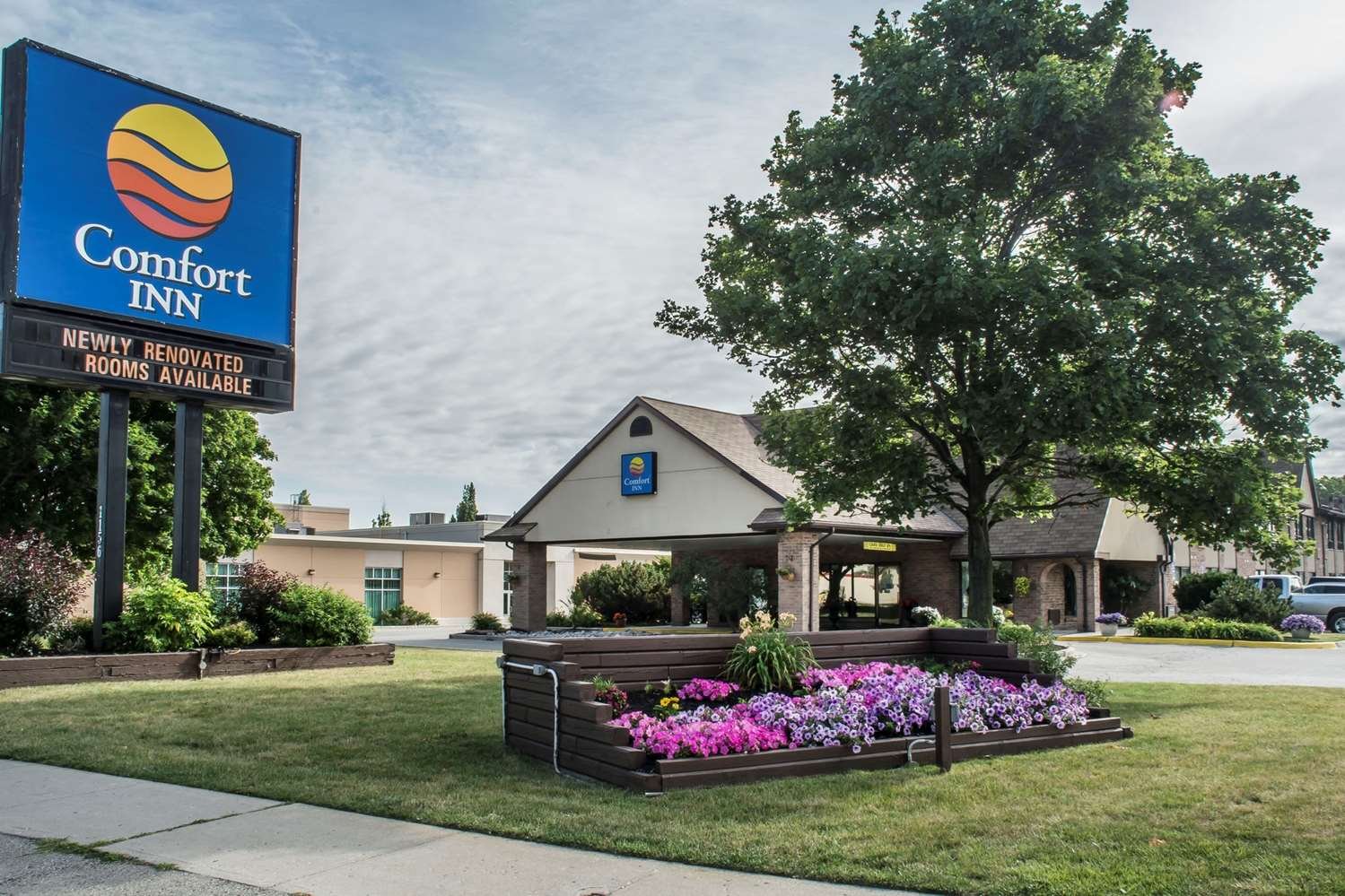 Comfort Inn-官方