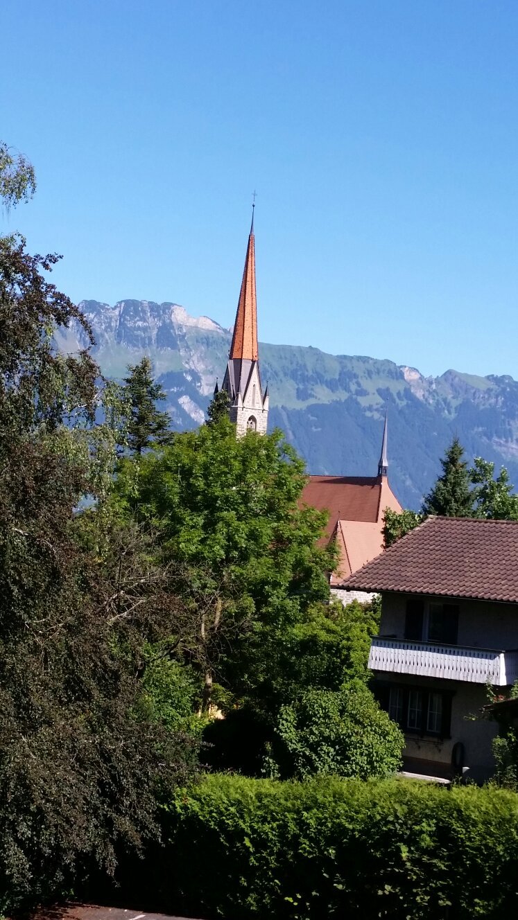 Hotel Schaanerhof-官方