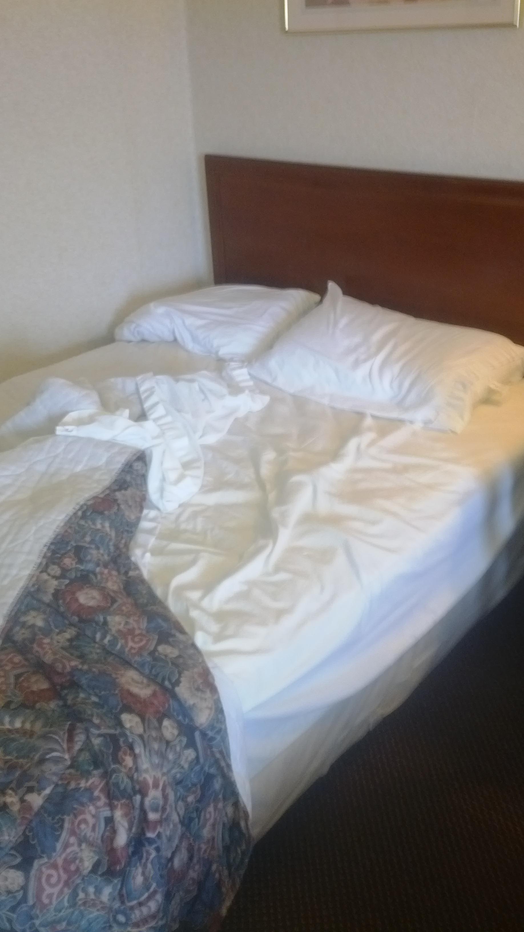 Budget Host Inn-客卧