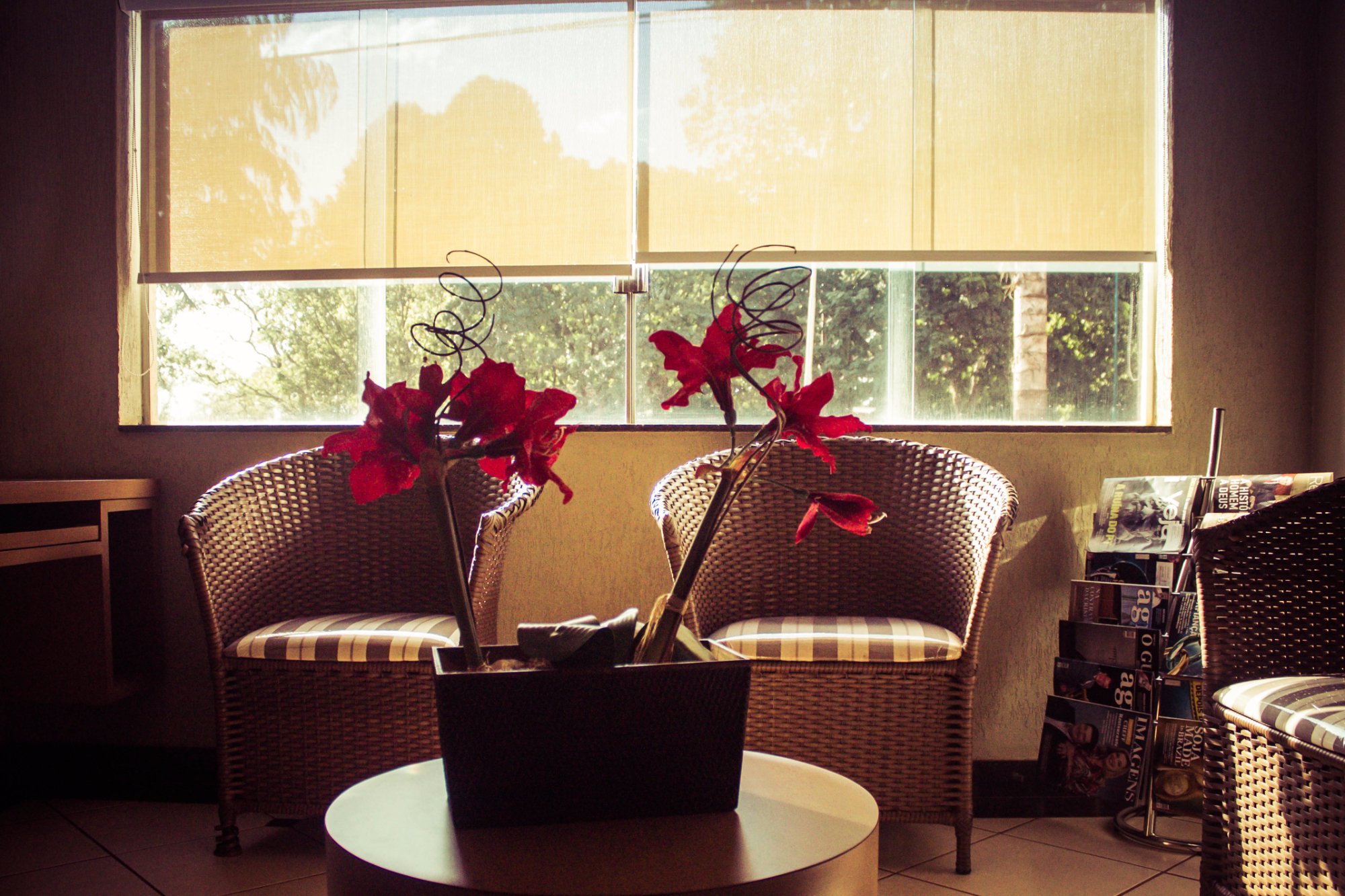 Hotel Paranoa-浴室