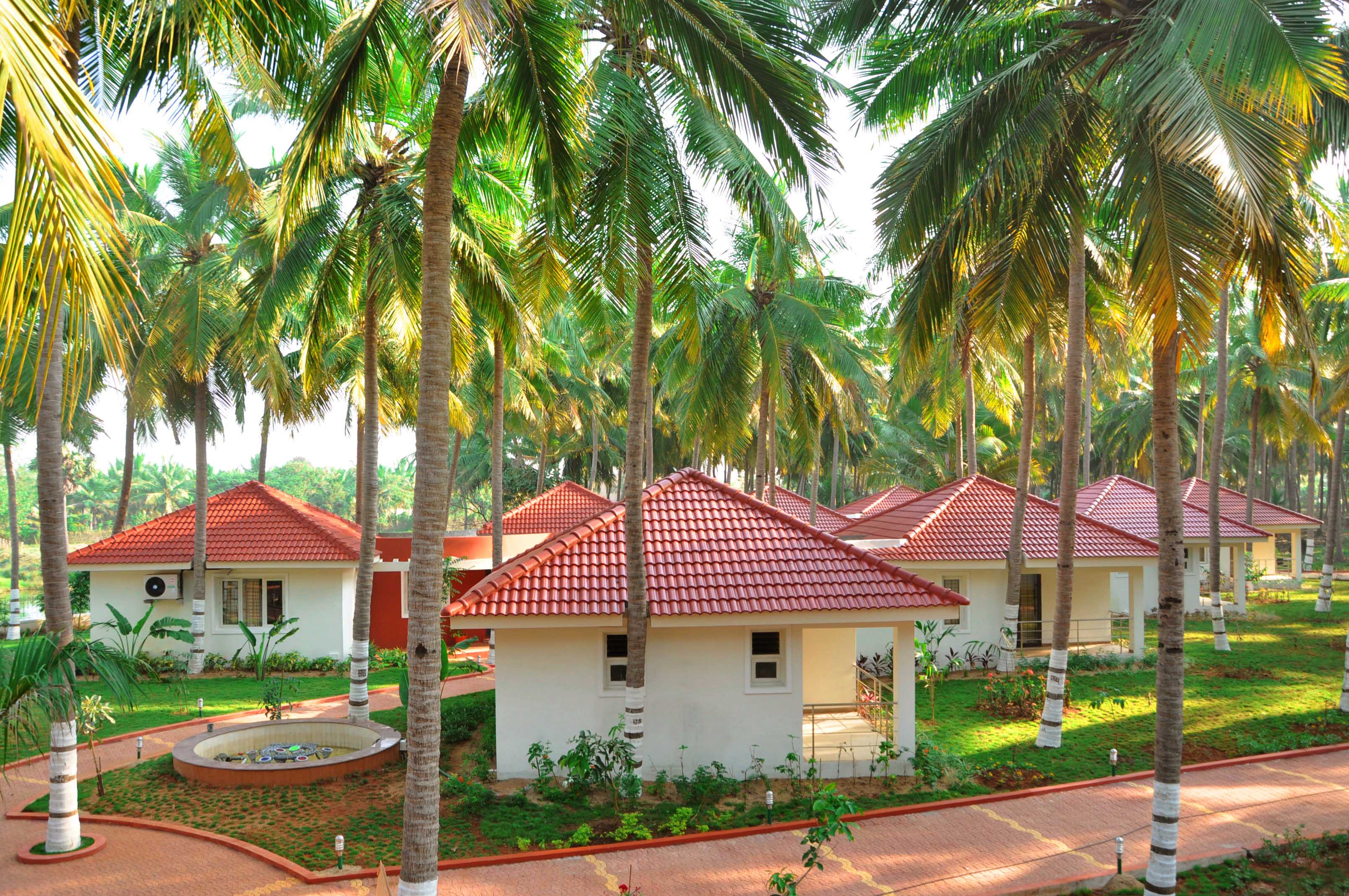 OVM Resort-官方