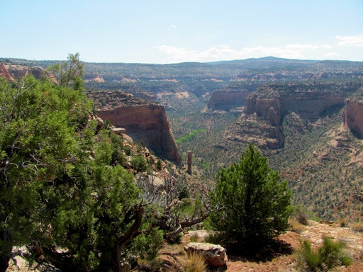 弗鲁塔旅游景点-Black Ridge Wilderness Study Area