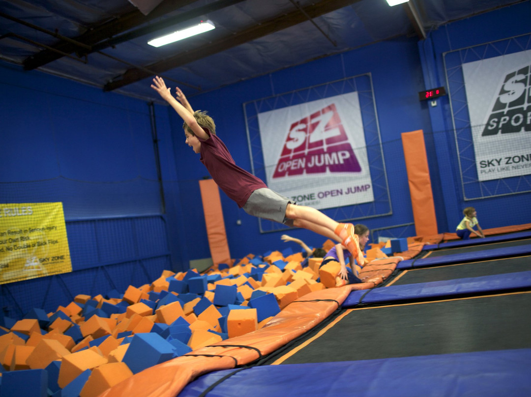 Sky Zone