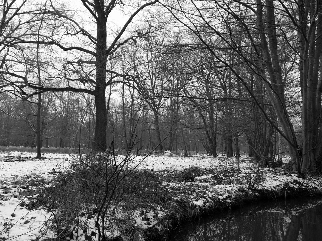 Hafen Waldschloesschen景点图片