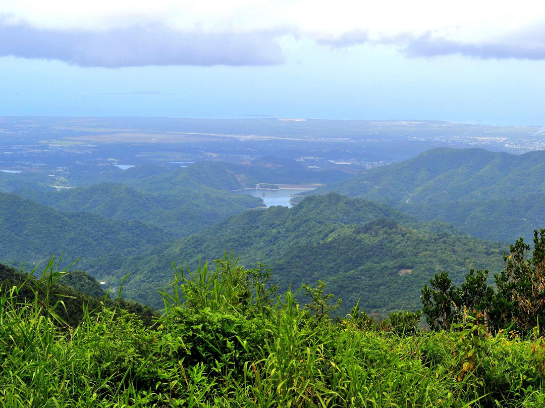 Cerro de Punta景点图片