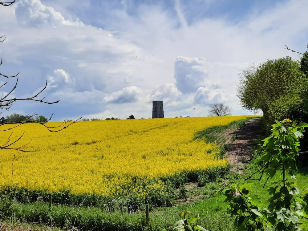 Lavenham To Long Melford Rail Walk景点图片