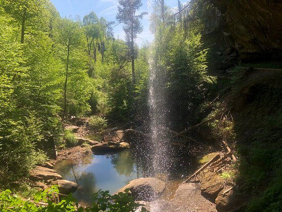 Broke Leg Falls-Wellington必去景点